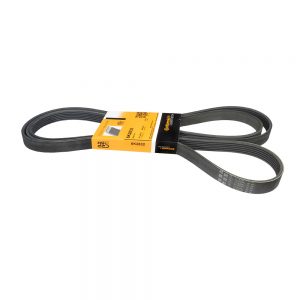 BANDA MULTIRIB - K061115